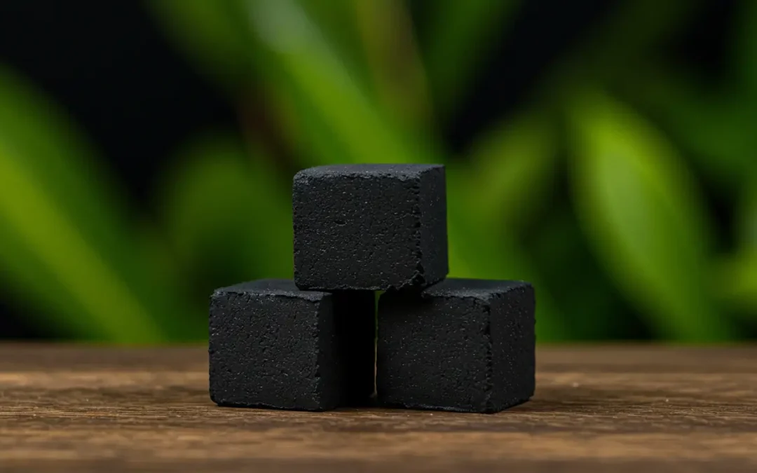 Eco-friendly charcoal: A cleaner experience for you, a fresh breath for the Earth