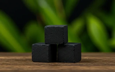 Eco-friendly charcoal: A cleaner experience for you, a fresh breath for the Earth