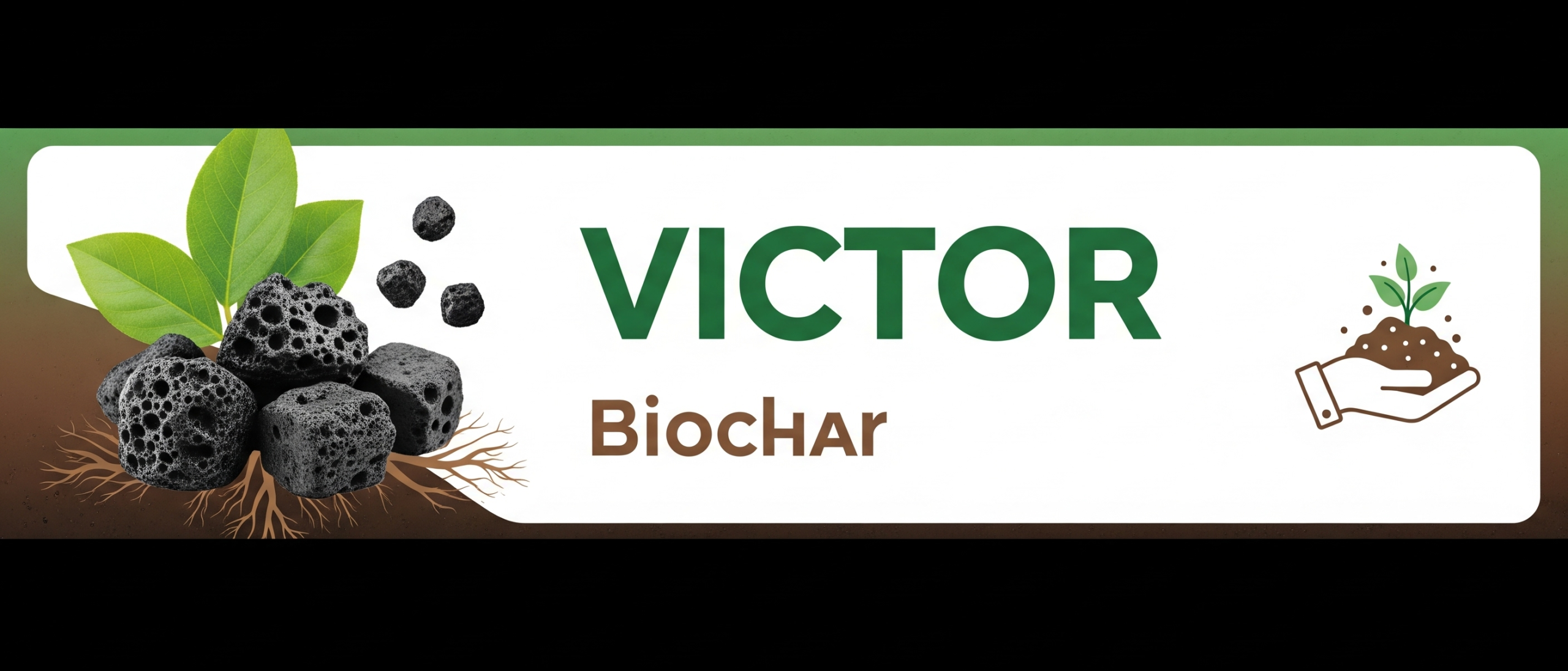 Victor charcoal